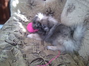 вам нужно качество-значит вам сюда-срочно звоните