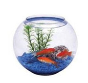 стеклянные аквариумы оптом