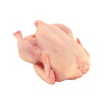 мясо курей бройлеров (домашних)