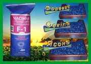 Проверенные семена высокоурожайных гибридов подсолнуха.