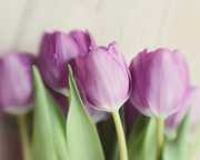 Цветы для Вас