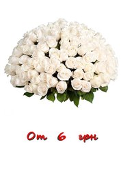 Розы. Доставка цветов