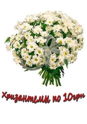 Хризантемы. Акция!