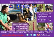 ДРЕССИРОВКА СОБАК В ЧЕРКАССАХ!