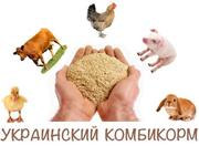 Комбикорм для сельхоз животных. Оптом. Выгодные цены от производителя