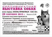 Сертификатная выставка собак всех пород