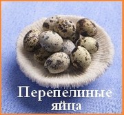 перепелиные яйца