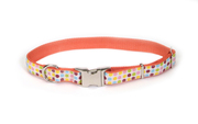 Ошейники для собак Coastal Pet Attire Ribbon