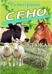 Продам луговое сено в тюках.