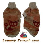 Свитер сфинксу Рыжий Котенок