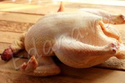 Продаю свежую домашнюю  курицу