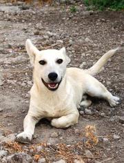 Озорной Сэм ищет порядочную семью!