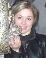 Семена для выращивания грибов.