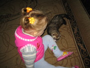 ЭКЗОТИЧЕСКИЕ ЖИВОТНЫЕ