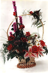 Садовый центр Старгарден.Наш магазин занимается продажей декоративных