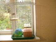 Клетка для шиншил.Самец