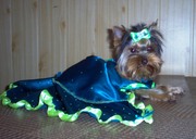 Стрижк собак и котов в