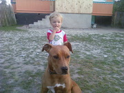 отдам в хорошие руки