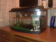 Продам аквариум бу