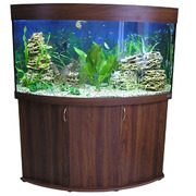 Изготовление, установка и обслуживание аквариумов