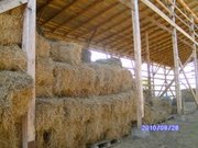 Сено луговых трав