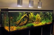 Аквариумы и аквариумное оборудование
