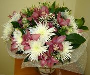 Цветы, доставка цветов, комнатные цветы, горшки, вазоны, кашпо